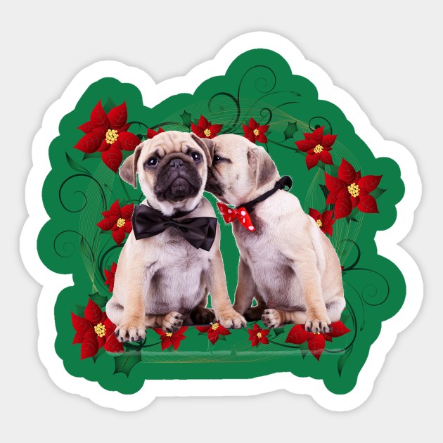 Pugs & Pointsettias Sticker by cameradog